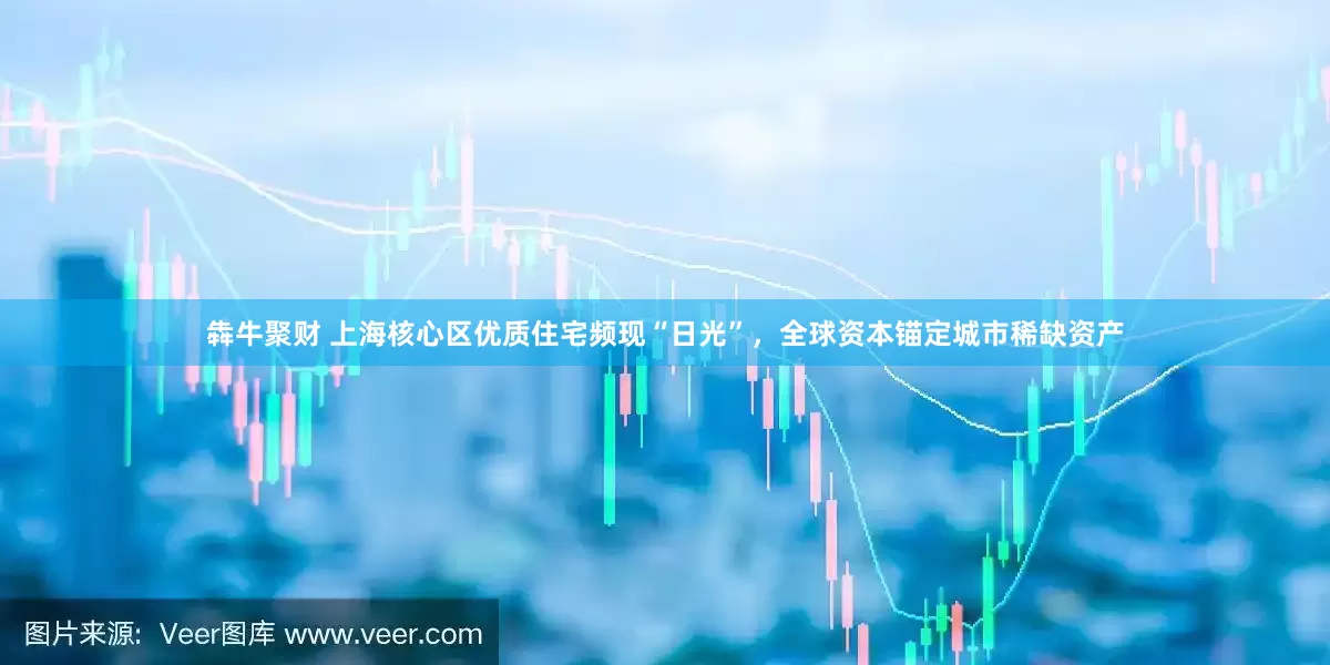 犇牛聚财 上海核心区优质住宅频现“日光”，全球资本锚定城市稀缺资产