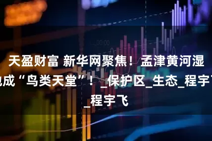 天盈财富 新华网聚焦！孟津黄河湿地成“鸟类天堂”！_保护区_生态_程宇飞