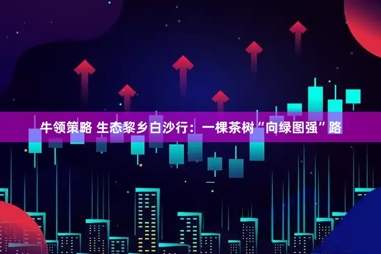 牛领策略 生态黎乡白沙行：一棵茶树“向绿图强”路